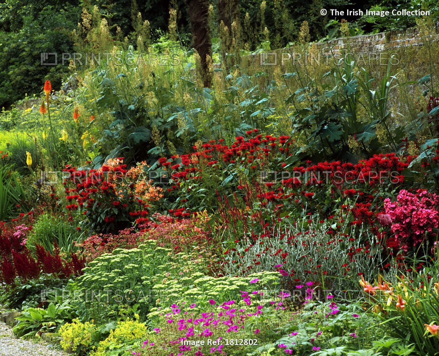 Herbaceous Border, Walled Garden, Strokestown Park, Co Westmeath, Ireland