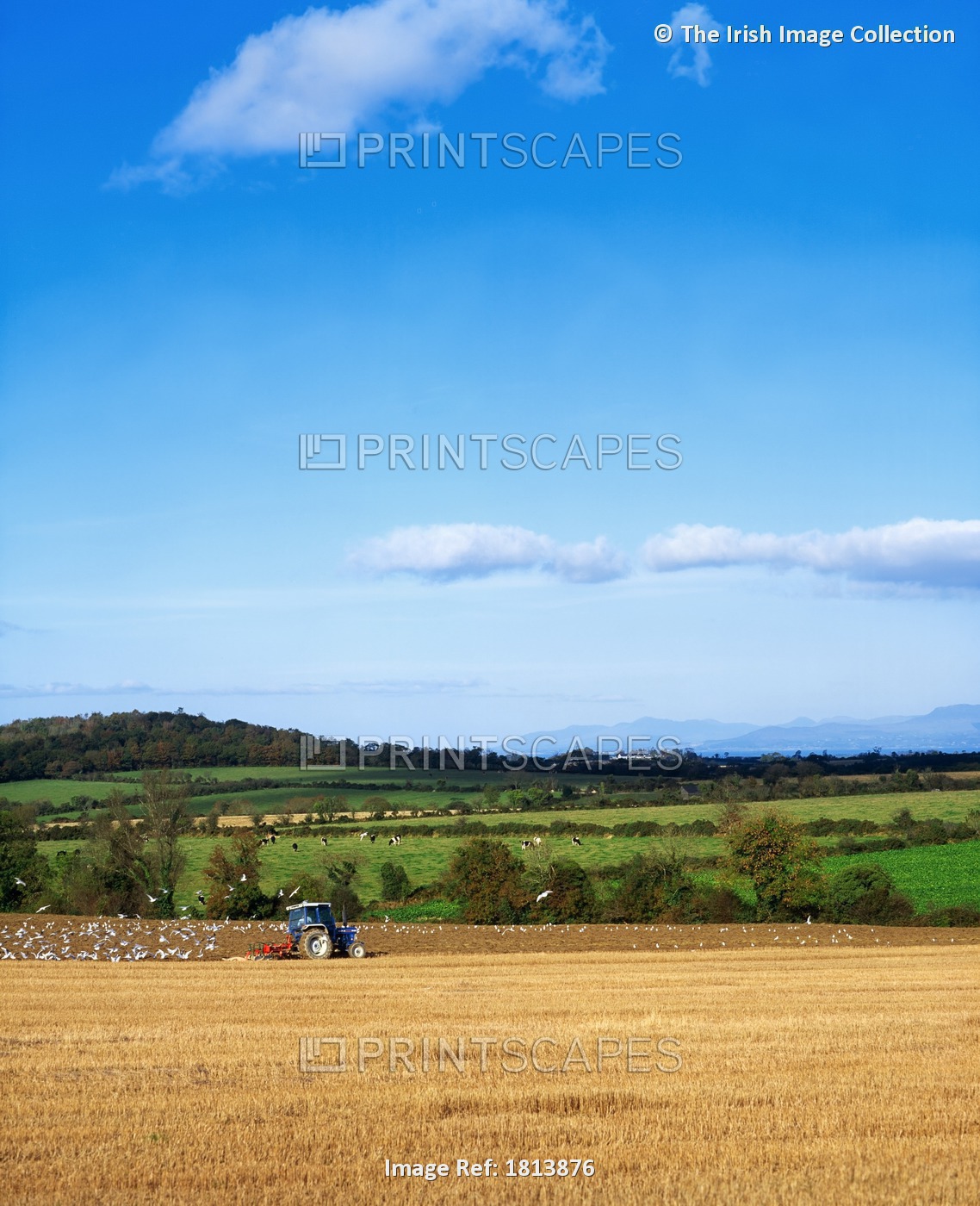 Ploughing Near Slane, Co Meath, Ireland