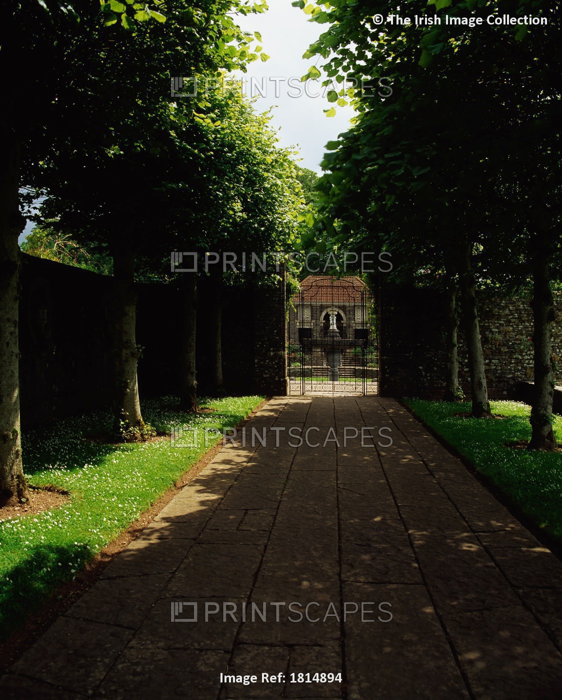 Heywood Gardens, Co Laois, Ireland, Pleached Lime Alley, Edwin Lutyens