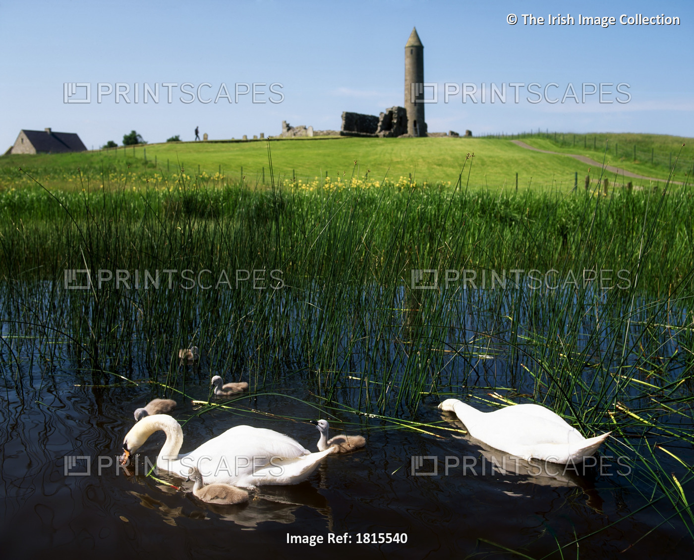 Devenish Monastic Site, Devenish Island, Lower Lough Erne, County Fermanagh, ...