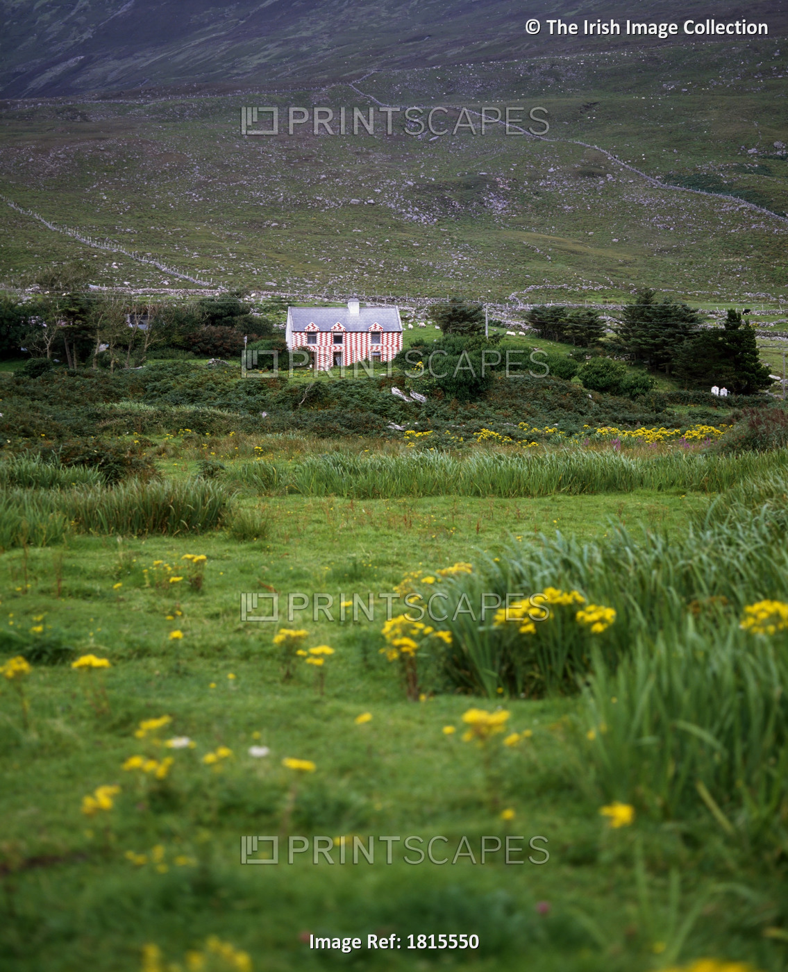Rural Home, Coonanna Harbour, Near Caherciveen, Co Kerry, Ireland