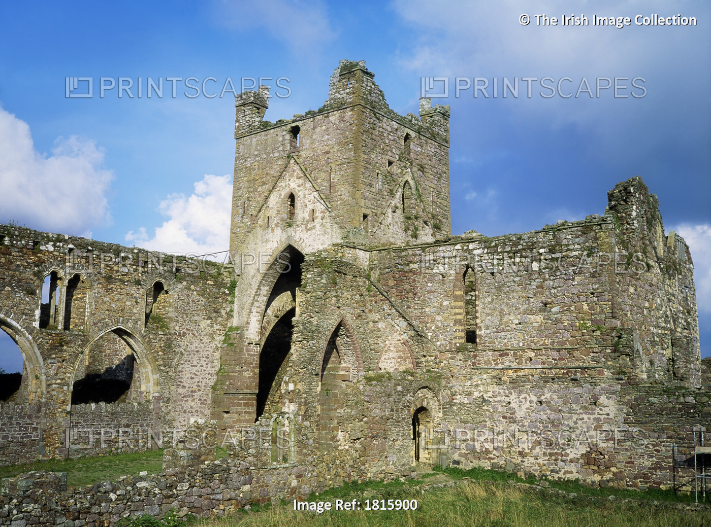 Dunbrody Abbey, Co Wexford, Ireland