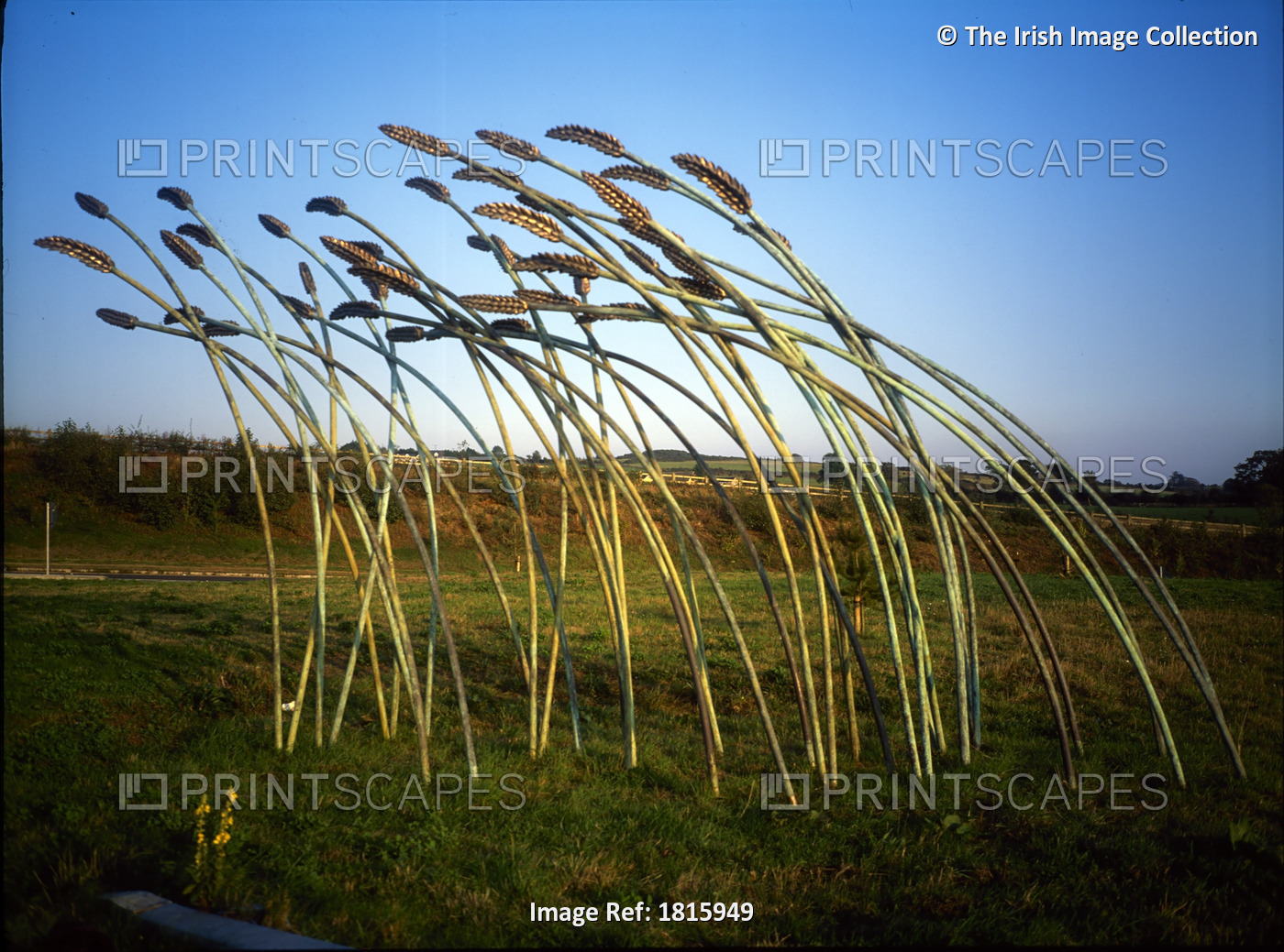 Kilmacthomas, Co Waterford, Ireland; Golden Harvest By Colm Brennan