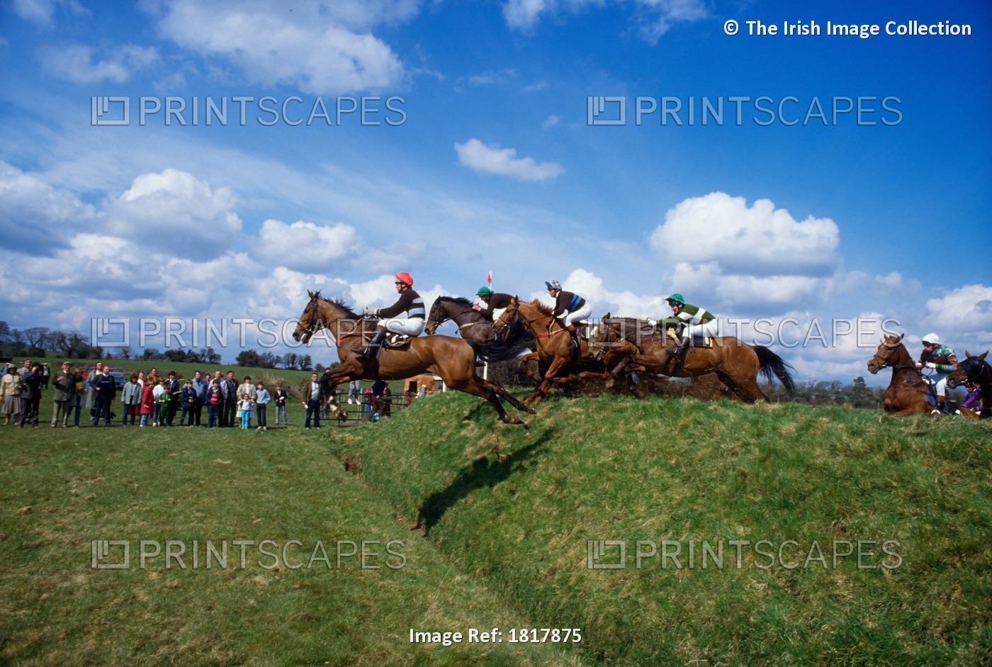 Naas, Co Kildare, Ireland, Punchestown Racecourse, Horse Racing