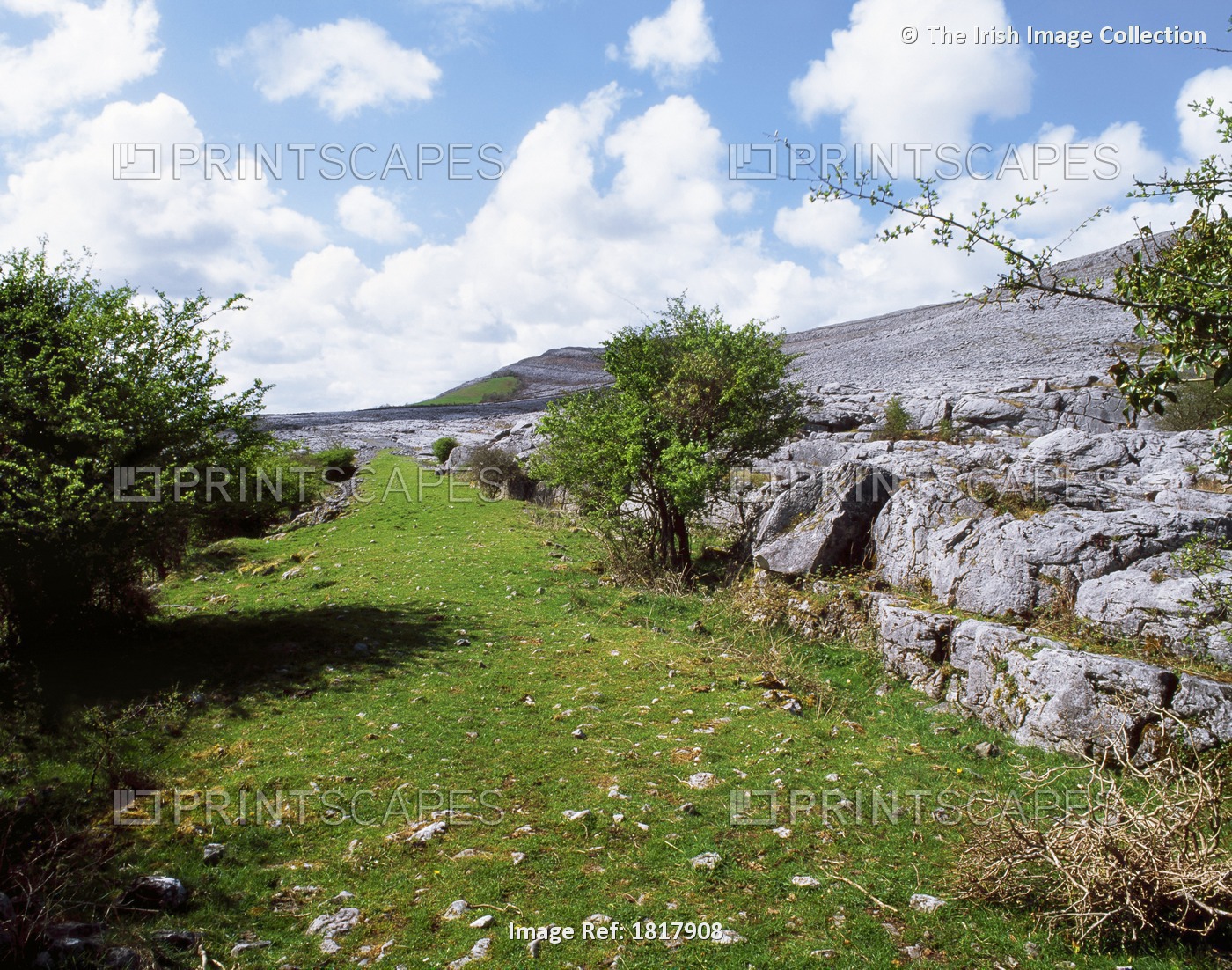 Burren, Co Clare, Ireland