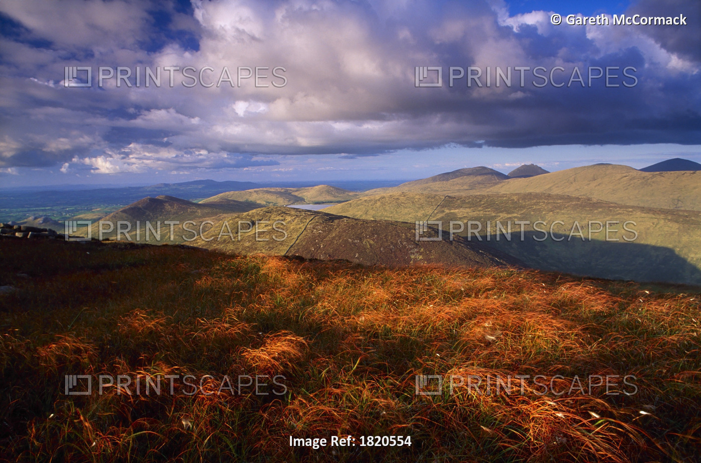 Mountains Of Mourne, County Down, Ireland; Mountain Range