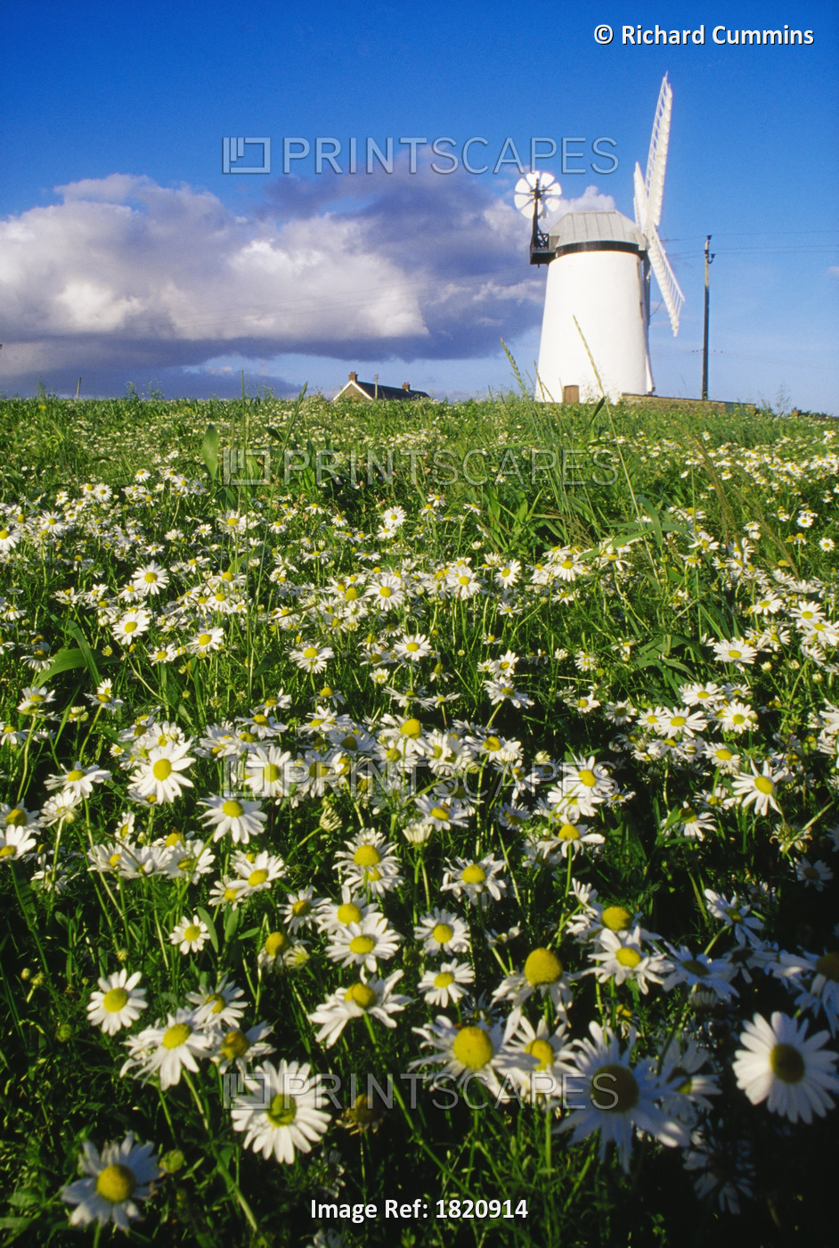 Millisle, County Down, Ireland; Ballycopeland Windmill
