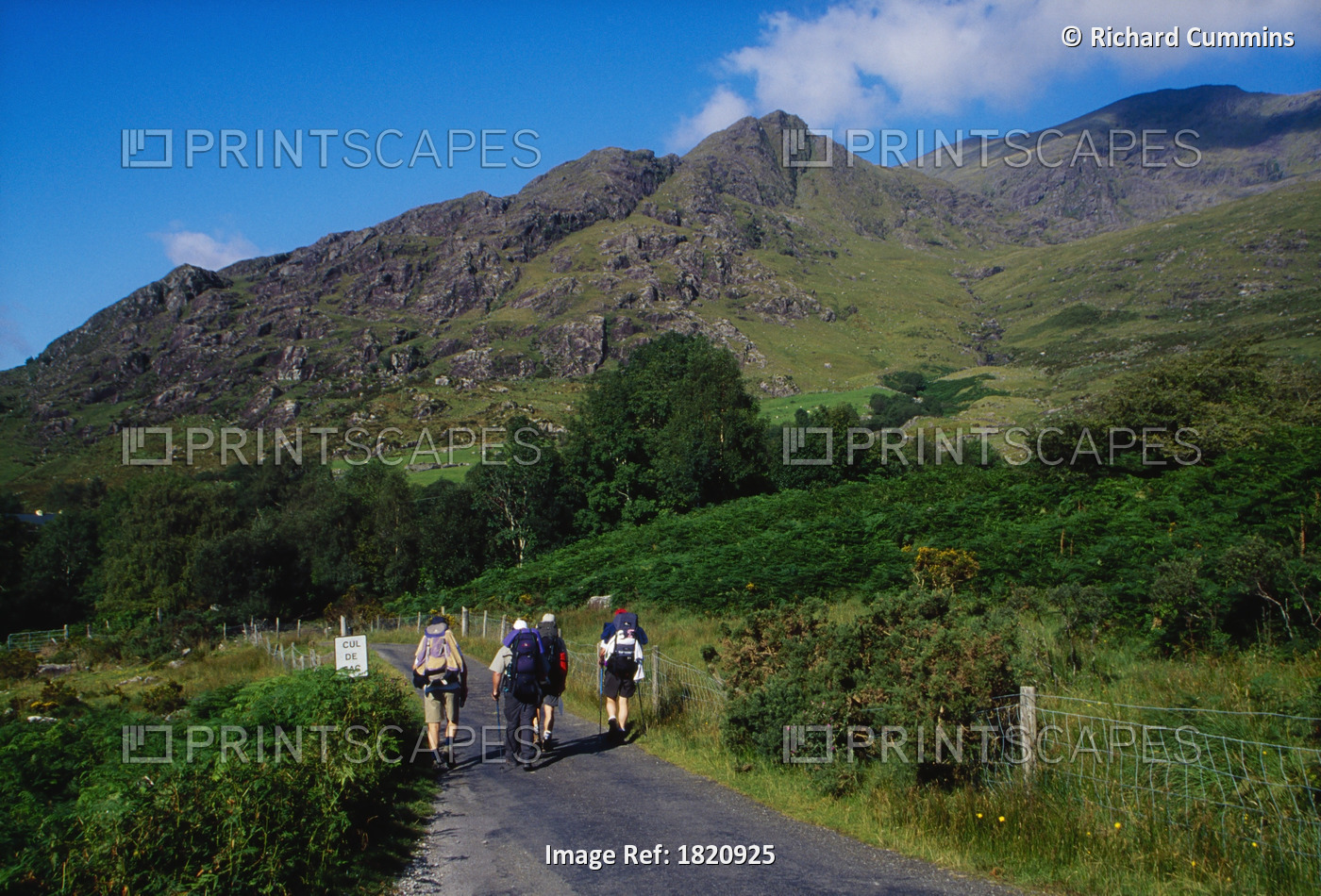 Black Valley, Killarney National Park, County Kerry, Ireland; Hikers Walking On ...