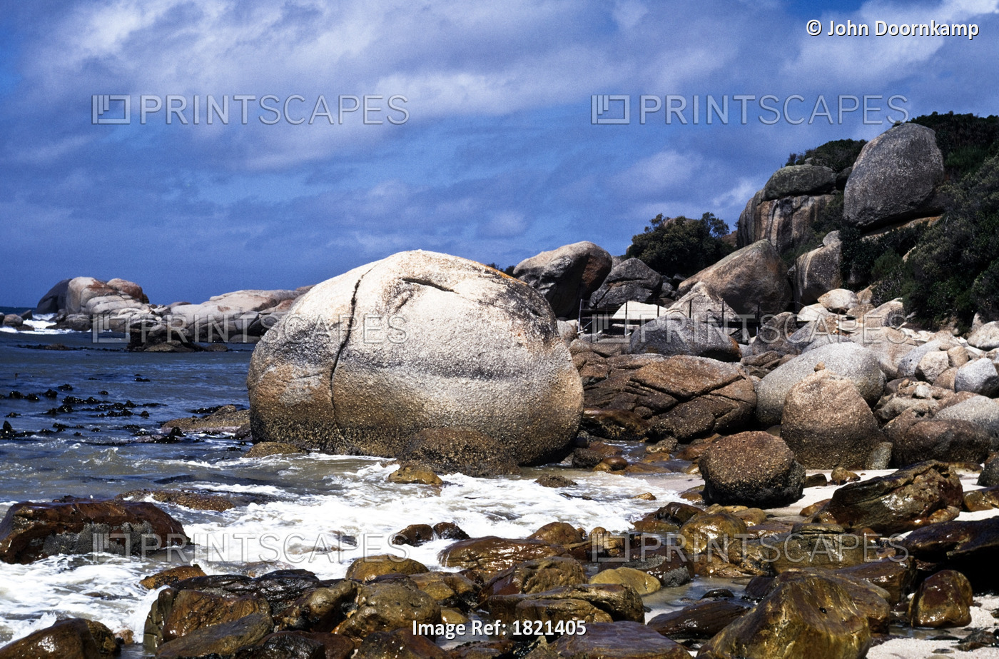 BOULDERS ON BEACH, CAPE OF GOOD HOPE, SOUTH AFRICA