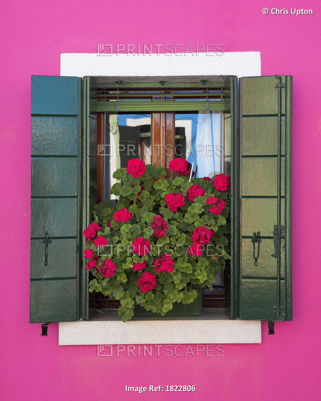 Pink Wall And Green Shutters, Burano, Italy