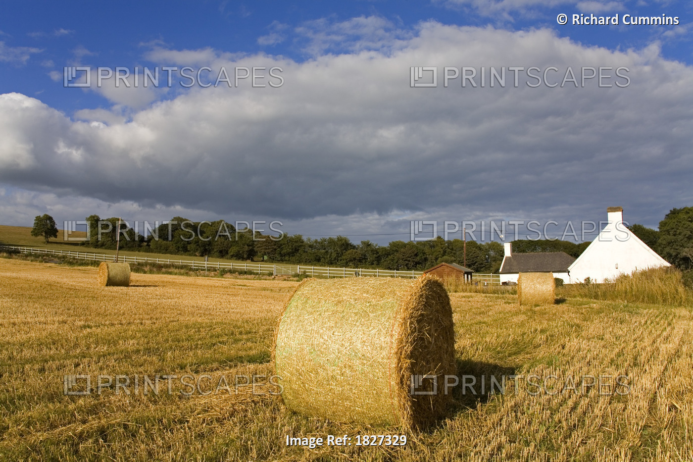 Ardmore, County Waterford, Ireland; Bales Of Hay In Field