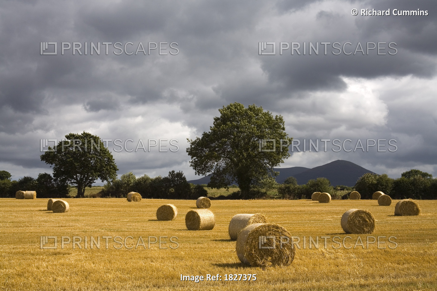 Clogheen, County Tipperary, Ireland; Hay Bales In Field
