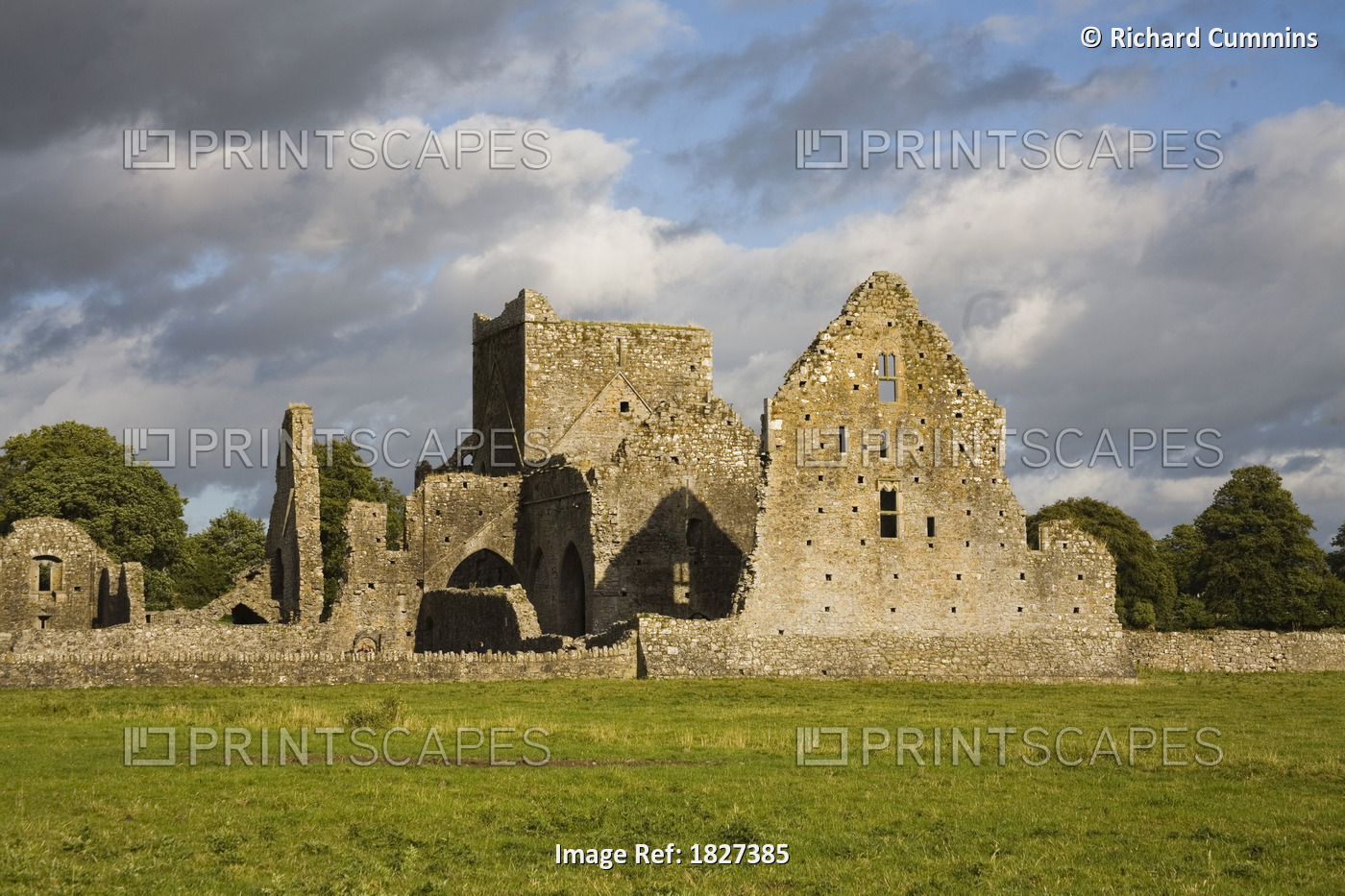 Hore Abbey, Cashel, County Tipperary, Ireland; Abbey Ruins In Field