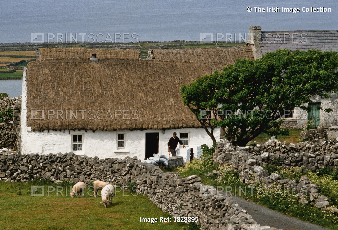 Inishmore, Aran Islands, Ireland, Cottage