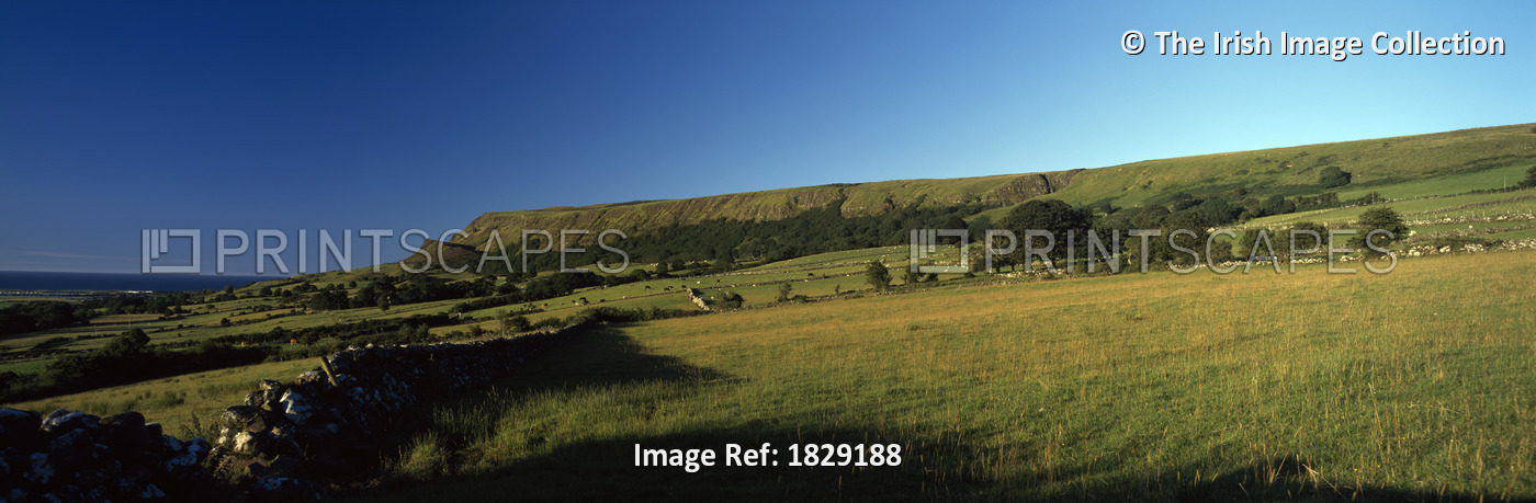 Farm Landscape; Magilligan, County Derry, Ireland