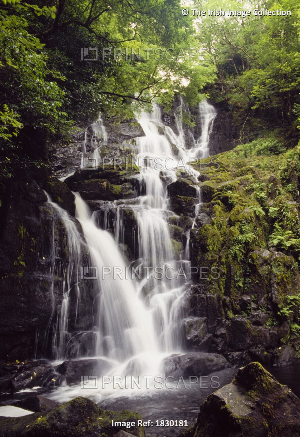 Torc Waterfall, Killarney, Co Kerry, Ireland; Waterfall In Killarney National ...