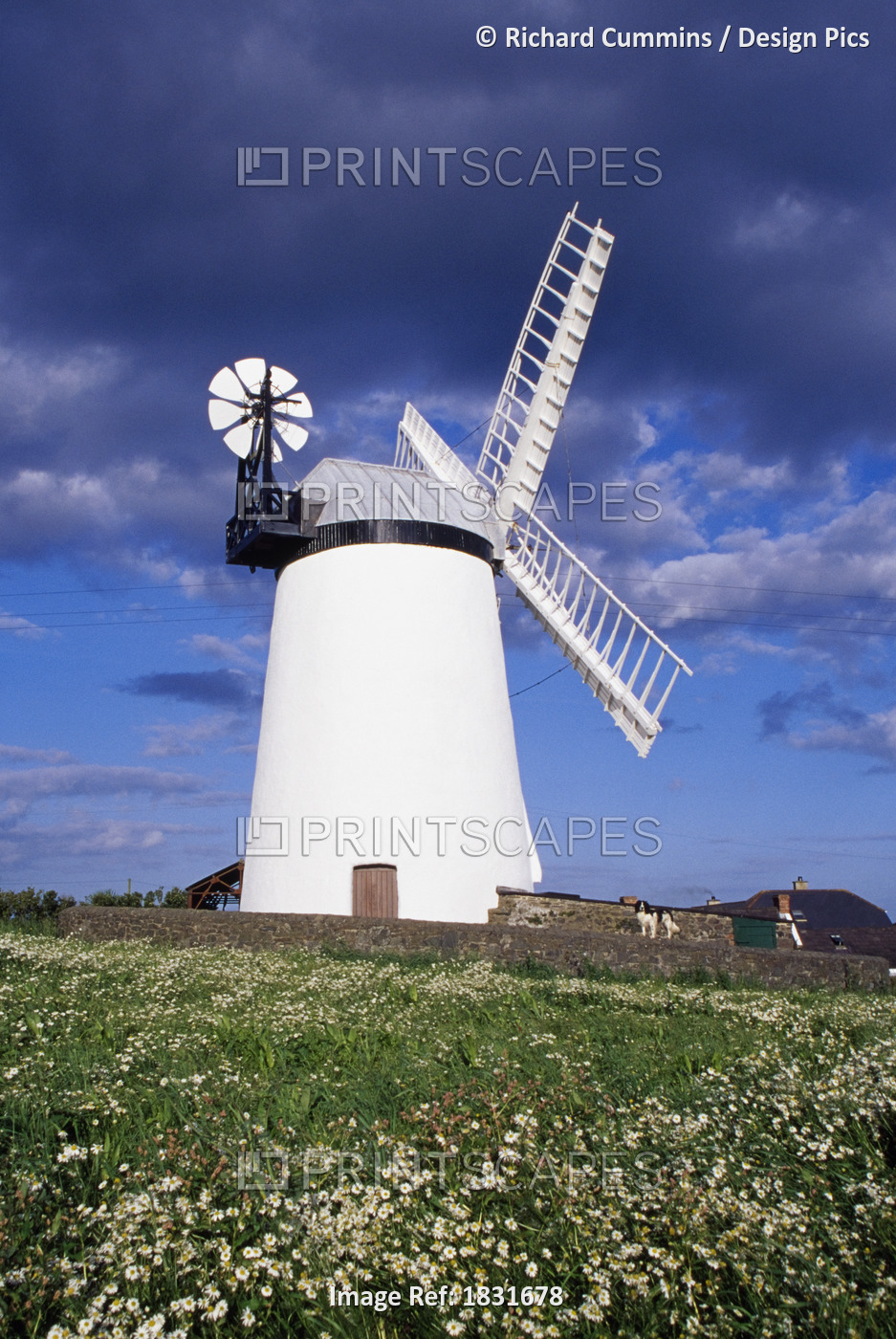 Ballycopeland Windmill, Millisle, County Down, Northern Ireland; Historic Irish ...