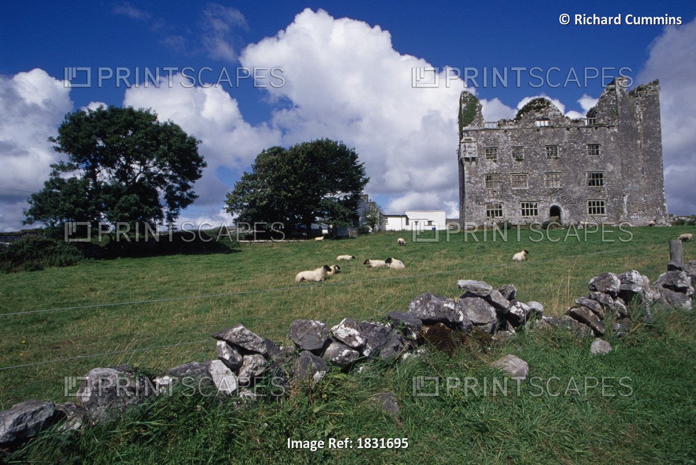 Leamaneagh Castle, The Burren, County Clare, Ireland; Historic Irish Castle