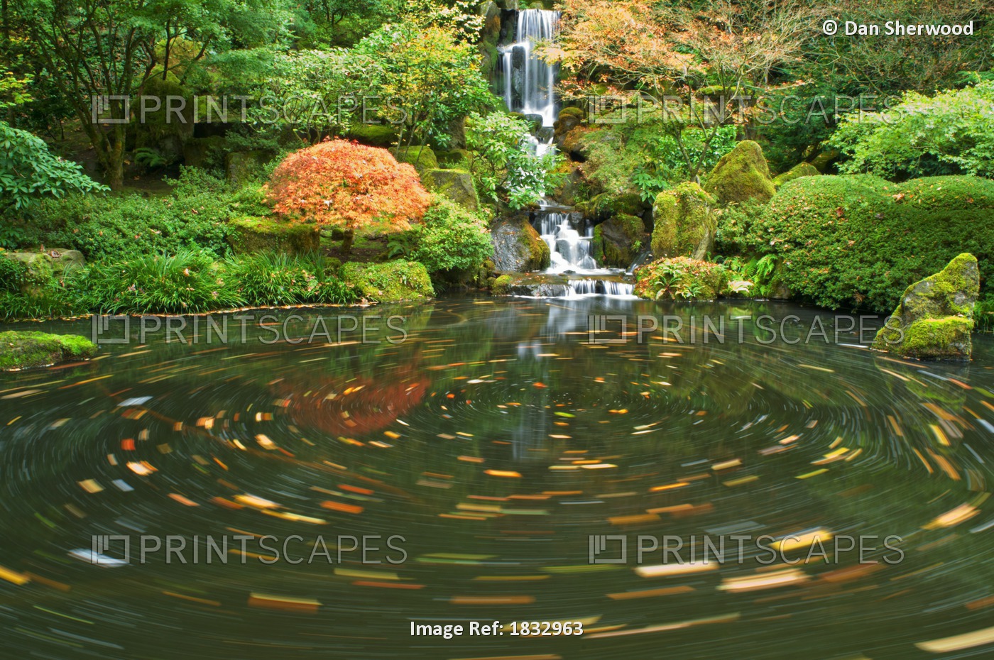 Pond, Oregon, United States Of America