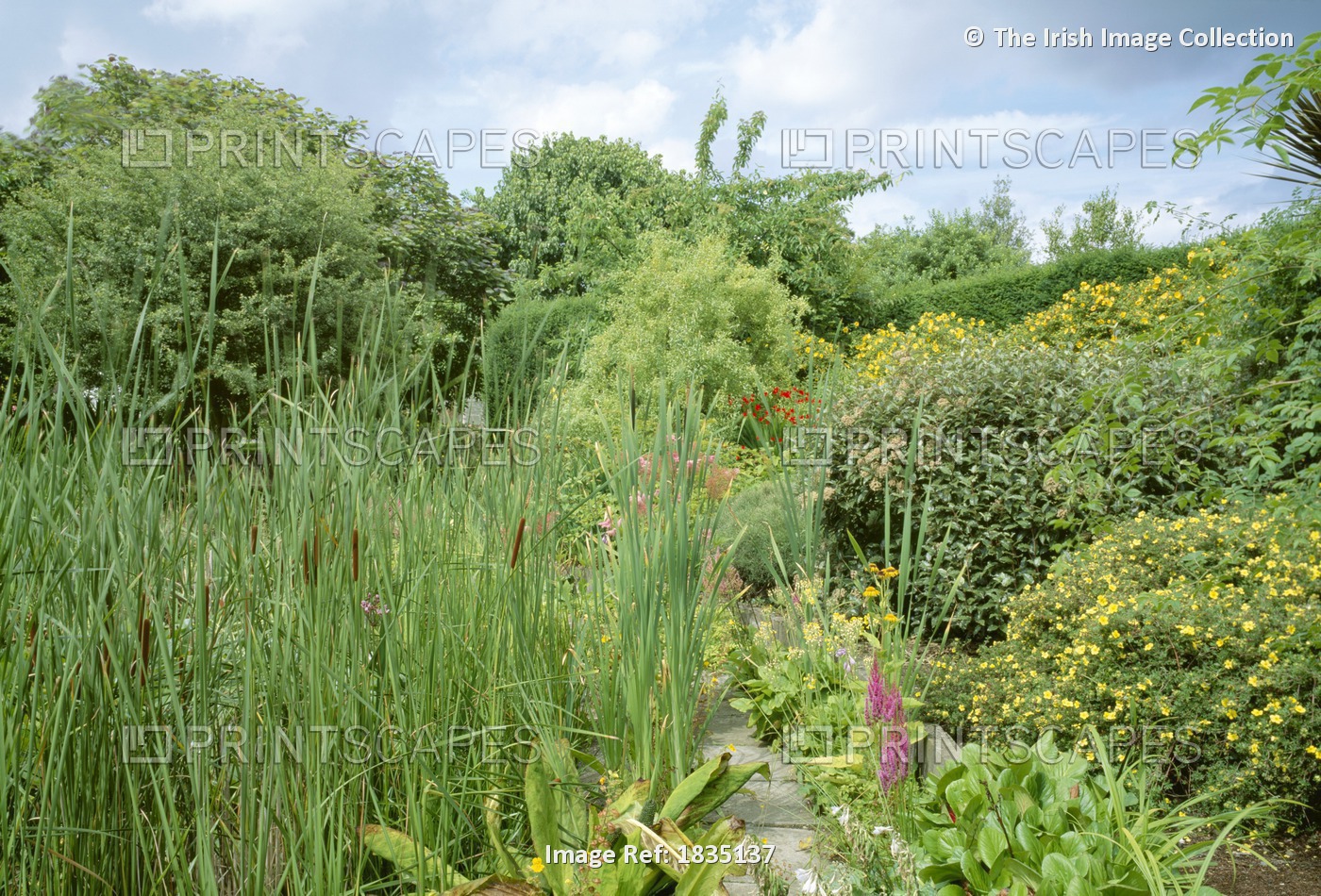 Talbot Botanic Garden, Co Fingal, Ireland; Gardens Situated Within Malahide ...