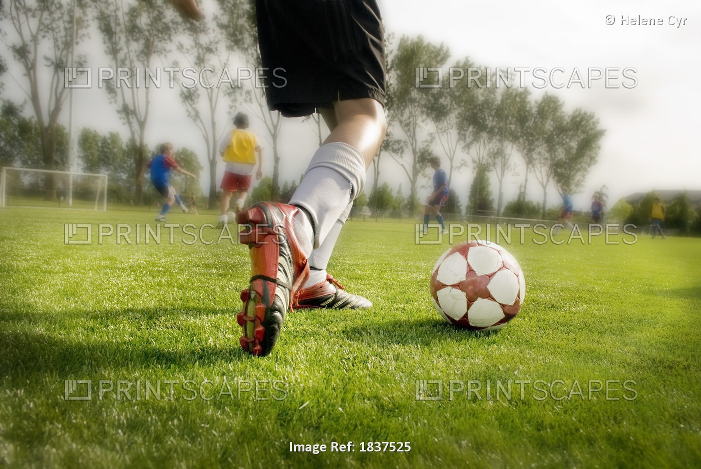 Young Soccer Player About To Kick Ball