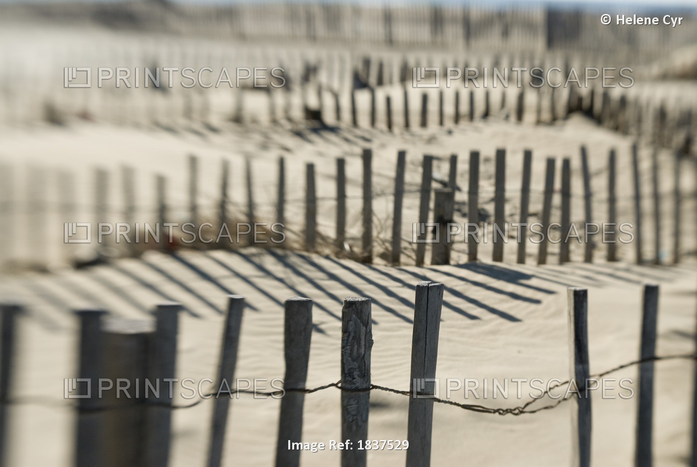 Slats Of Wooden Fence Throwing Shadows On Beach