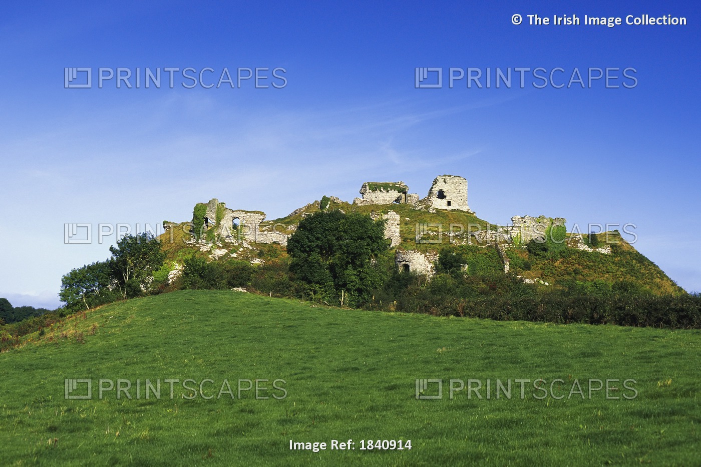 Co Laois, Dunamase Castle