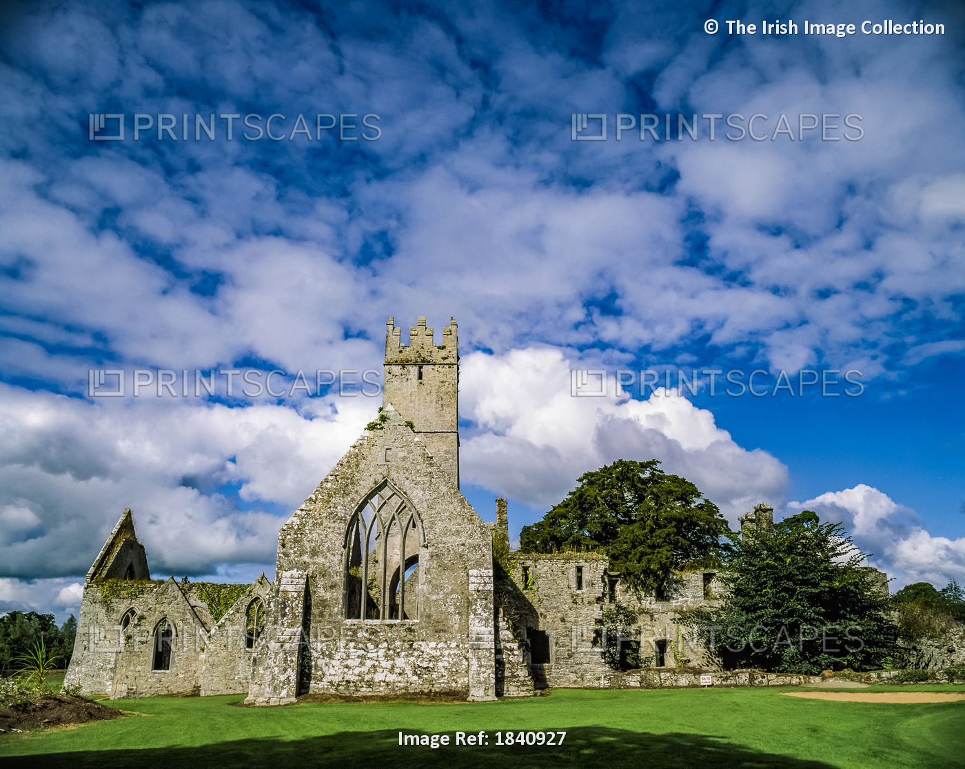 Co Limerick, Franciscan Abbey 15Th Century, Adare