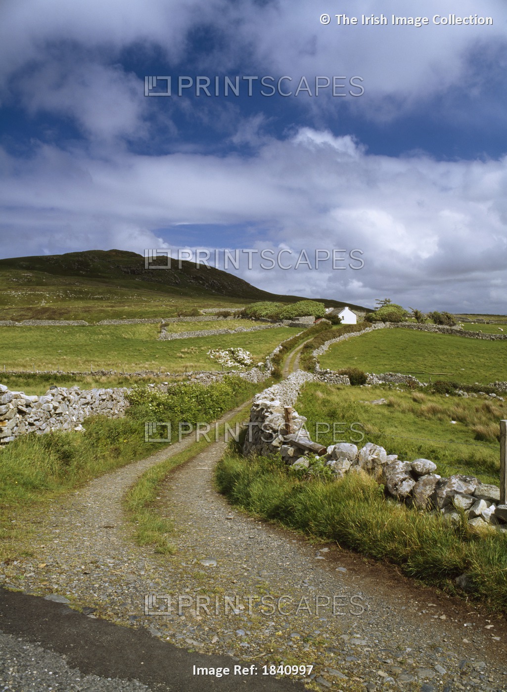 Roads, Country Track, Horn Head Donegal