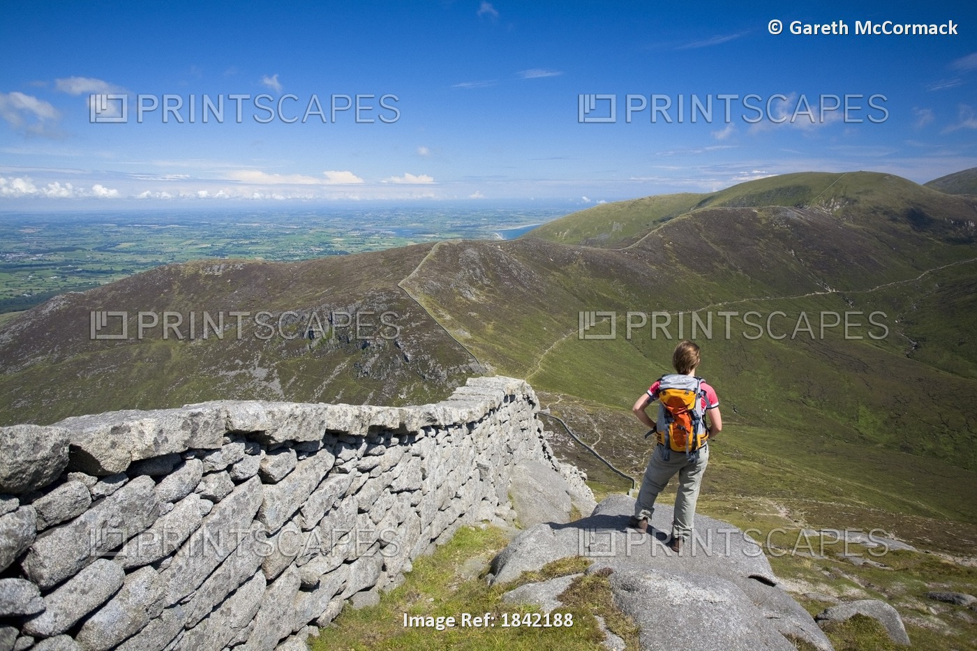 Mourne Mountains, Co Down, Ireland; Hiker Beside The Mourne Wall On The Slopes ...