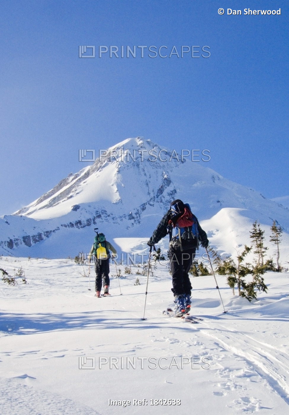 Mount Hood, Mount Hood Wilderness, Oregon, Usa; Cross-Country Skiing