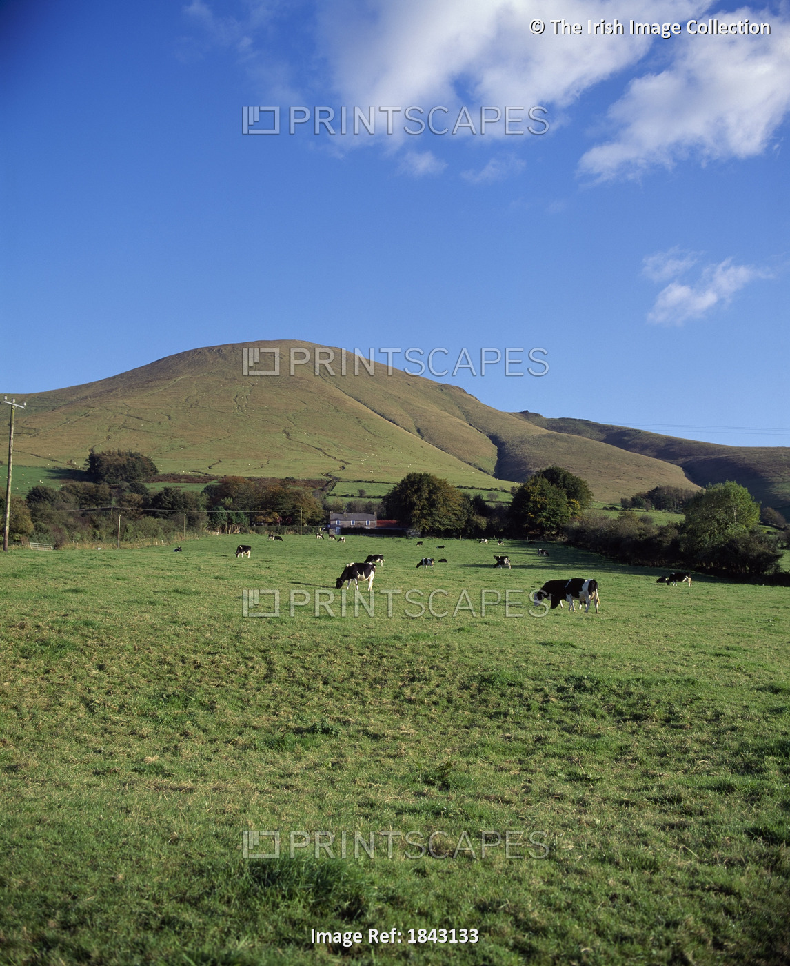 View Of Farmland And Galtee Mountains; Anglesborough, Co Tipperary, Ireland