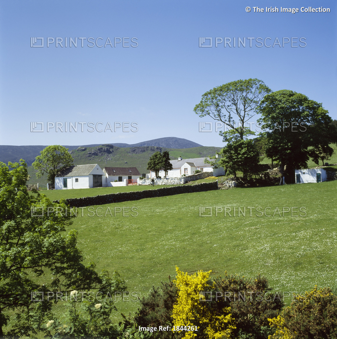 Co Down,Northern Ireland; Farmscape With The Mourne Mountains In The Background