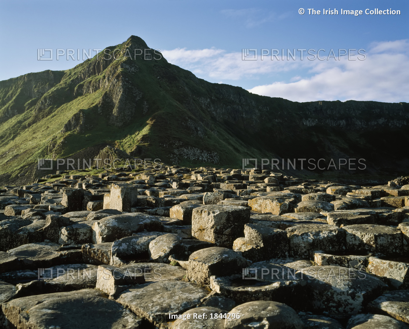 Giant's Causeway,Co Antrim,Northern Ireland; Basalt Columns And Green Hills