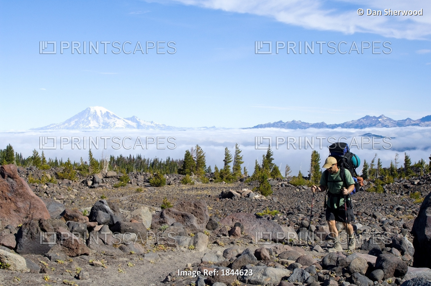Mount Adams Wilderness Washington State Usa; Hiker Walking Through Avalanche ...