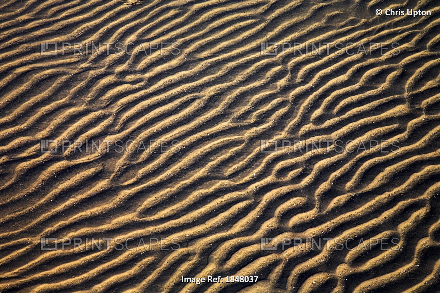 Zanzibar, Tanzania; Sand Patterns