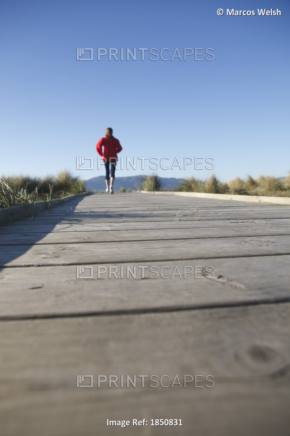 Rear View Of Athletic Woman Running On Boardwalk