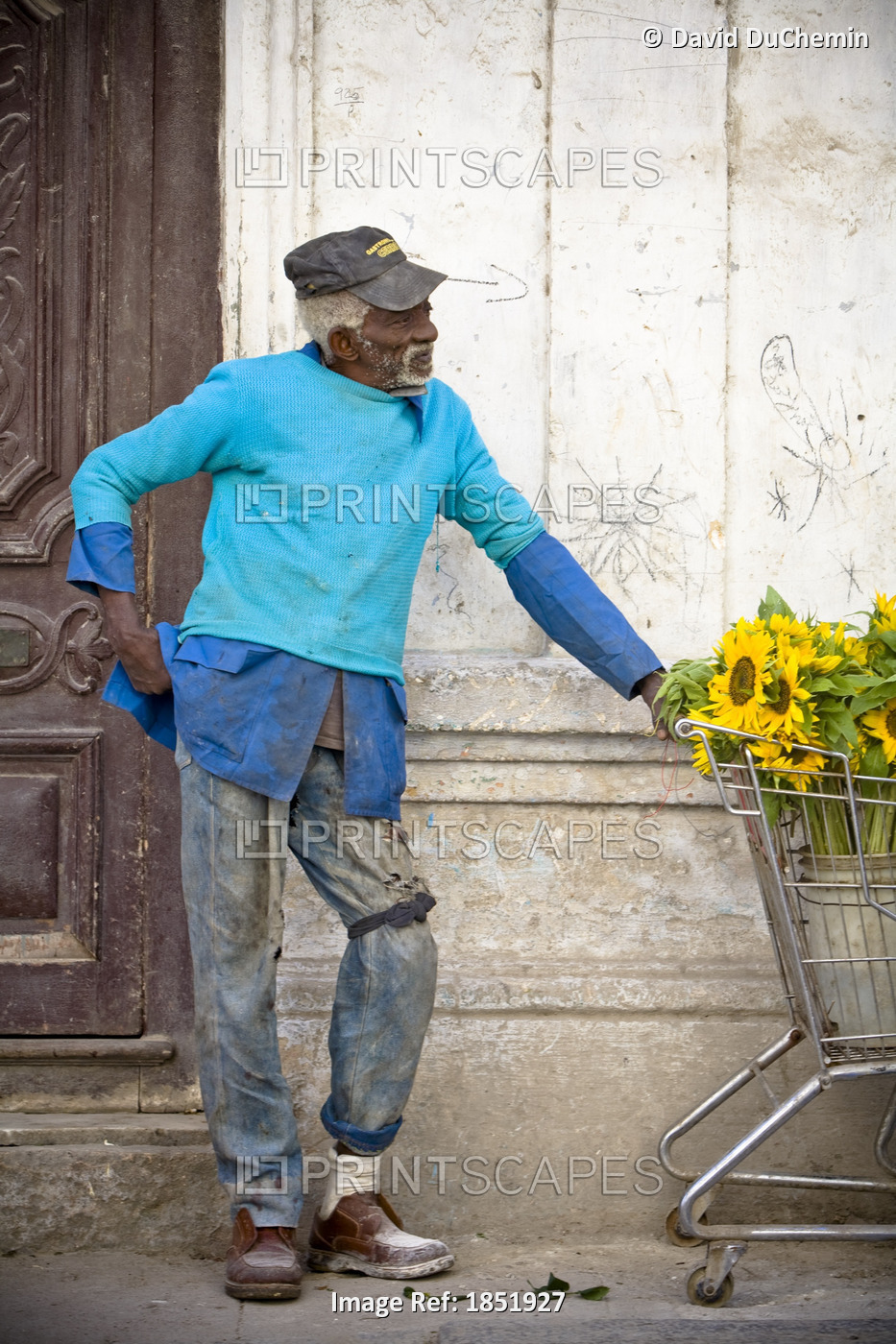 Man With Shopping Cart And Sunflowers In Havana; Havana,Cuba