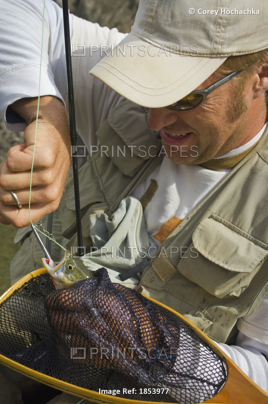 Man Removing Fly Fishing Hook From Trout; Nordegg, Alberta, Canada