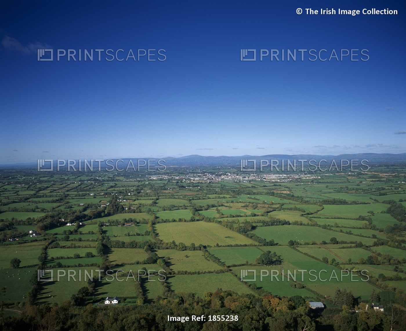 Golden Vale; County Tipperary, Ireland