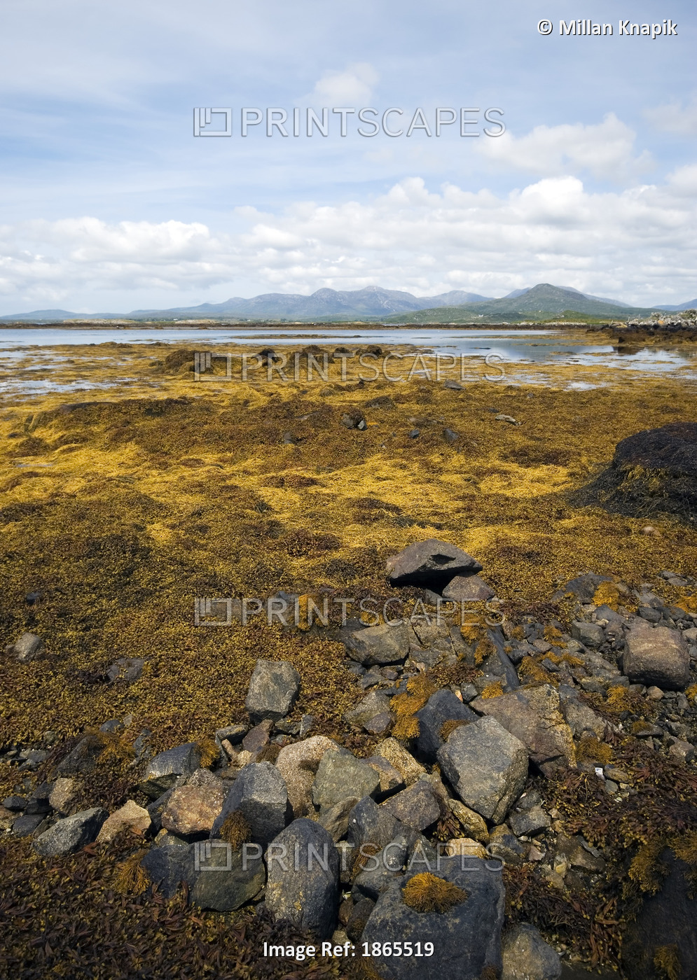 Rocky Ground With Mountains In The Background In Connemara National Park; ...