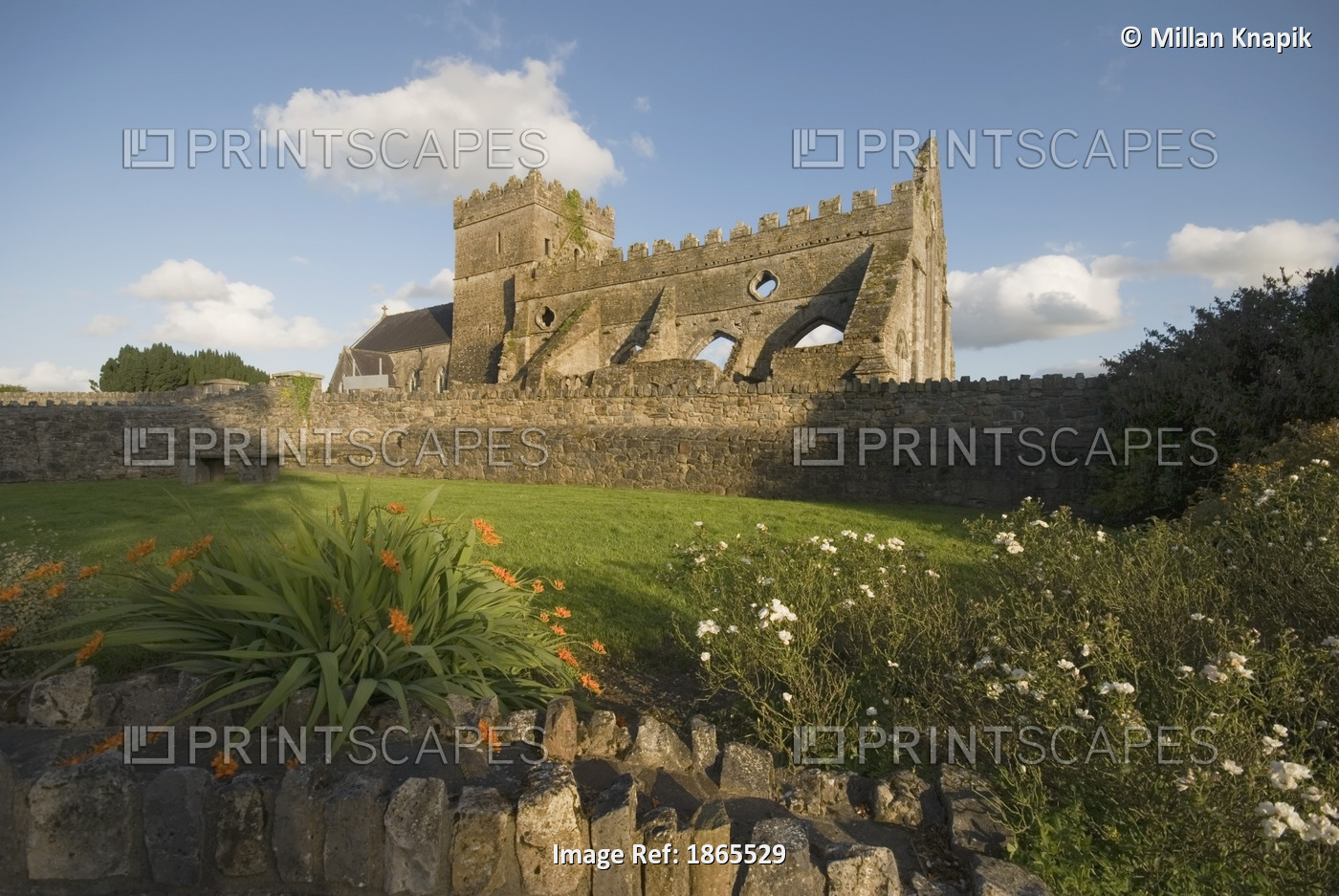 Ruins Of A Church; Gowran, County Kilkenny, Ireland