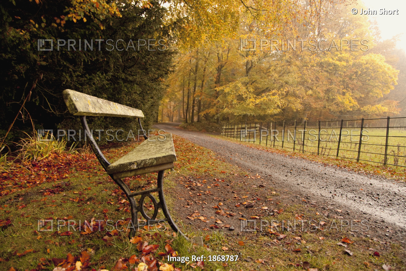 Northumberland, England; A Bench Along A Road In Autumn