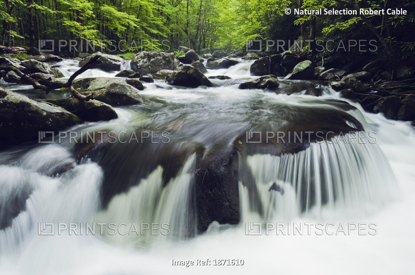 Tennessee, United States Of America; Curved Cascade On The Middle Prong River ...