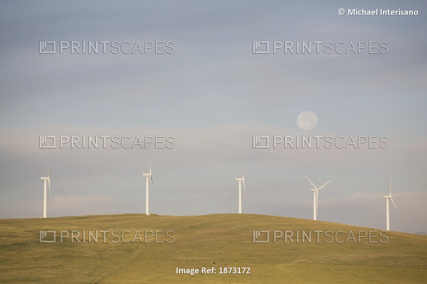 Pincher Creek, Alberta, Canada; Wind Turbines On A Hillside With The Moon In ...