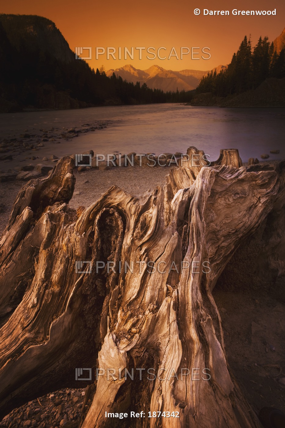 Banff, Alberta, Canada; Driftwood And A Mountain River At Sunset