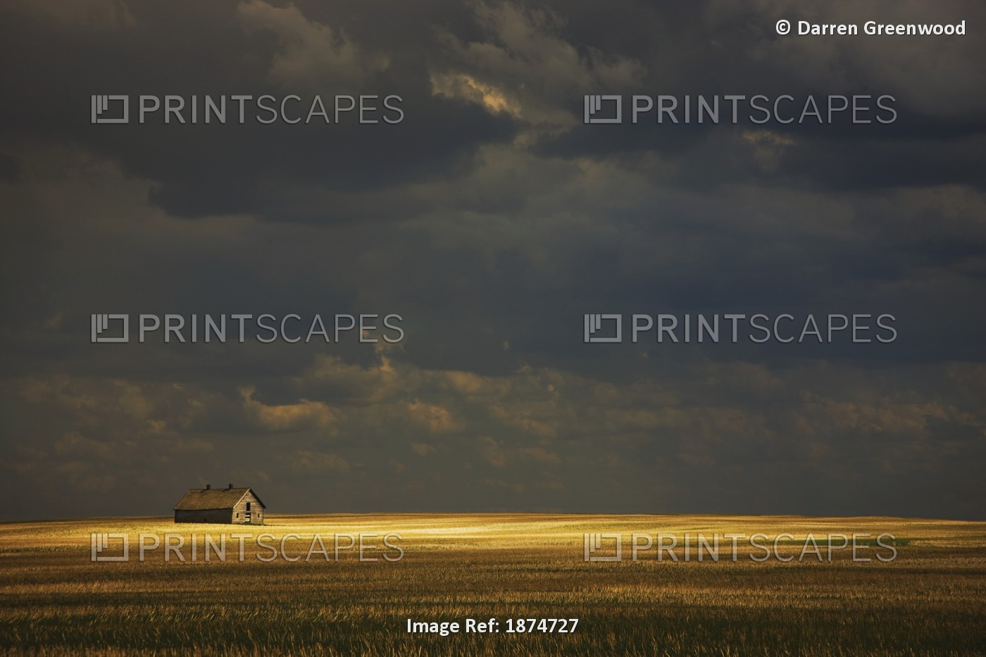 Tofield, Alberta, Canada; An Old Barn In A Field