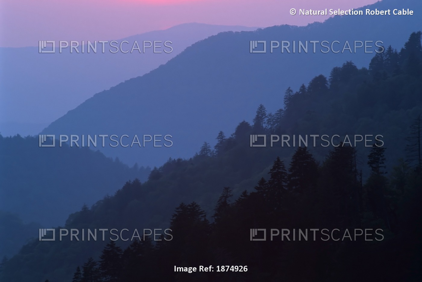 Tennessee, United States Of America; Sunset Light Filtering Through Misty ...