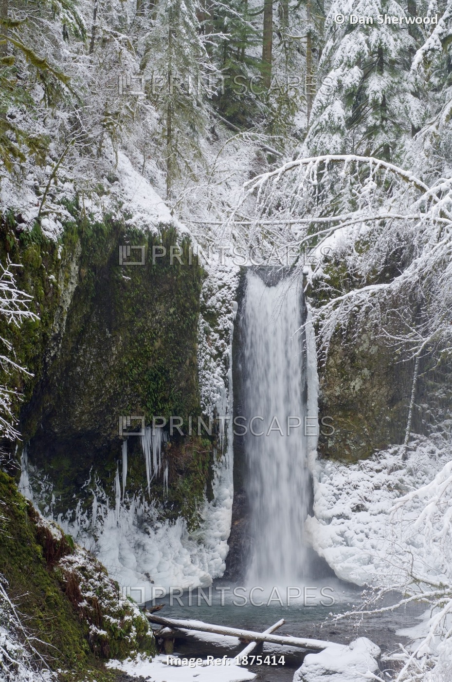 Oregon, United States Of America; Wiesendanger Falls In Winter In The Columbia ...