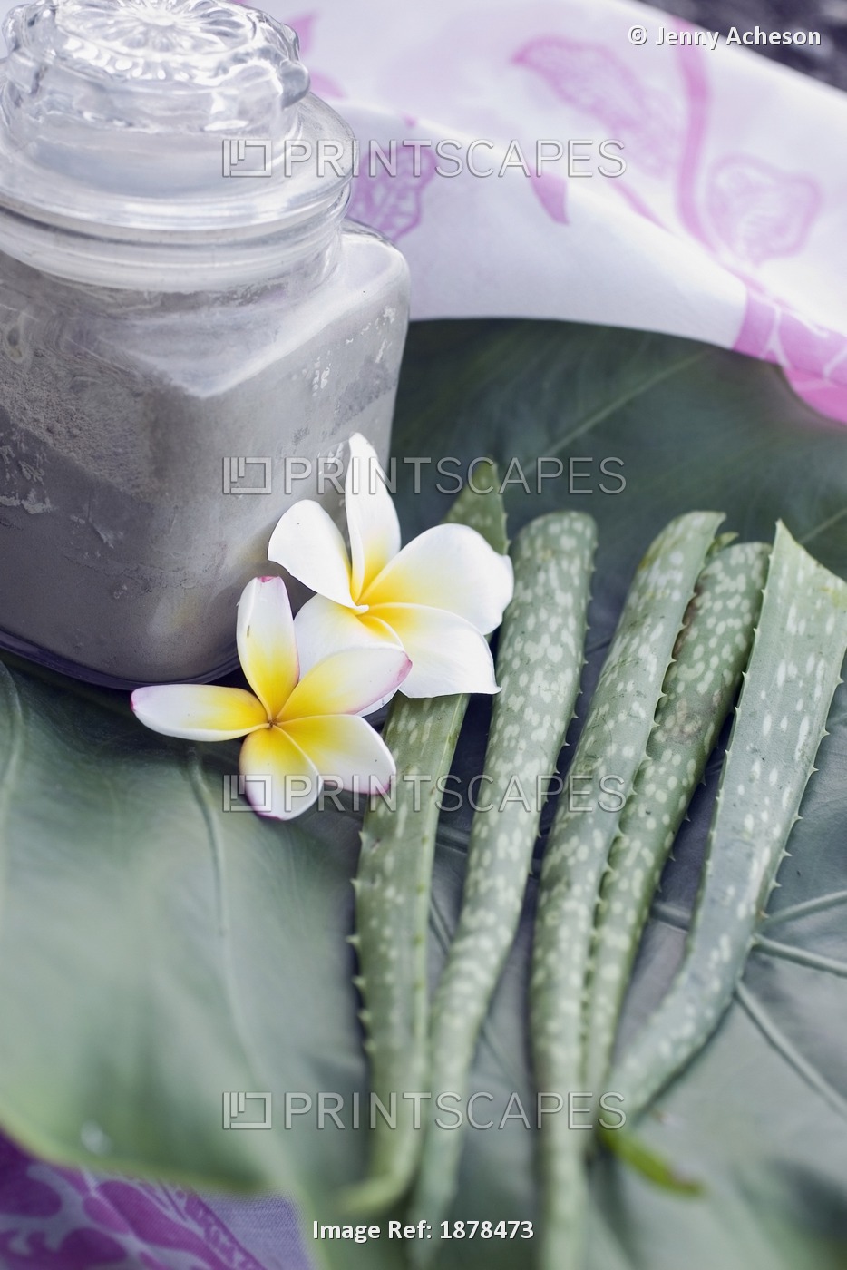 Jar With Mud Treatment Next To Flowers And Aloe Leaves